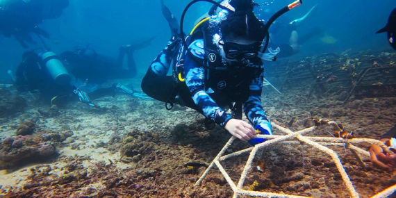 aksi-brigitta-gunawan-selamatkan-karang-lewat-teknologi-vr-dan-edukasi