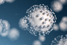 scientists-have-found-a-safer-way-to-hunt-for-the-next-pandemic-virus