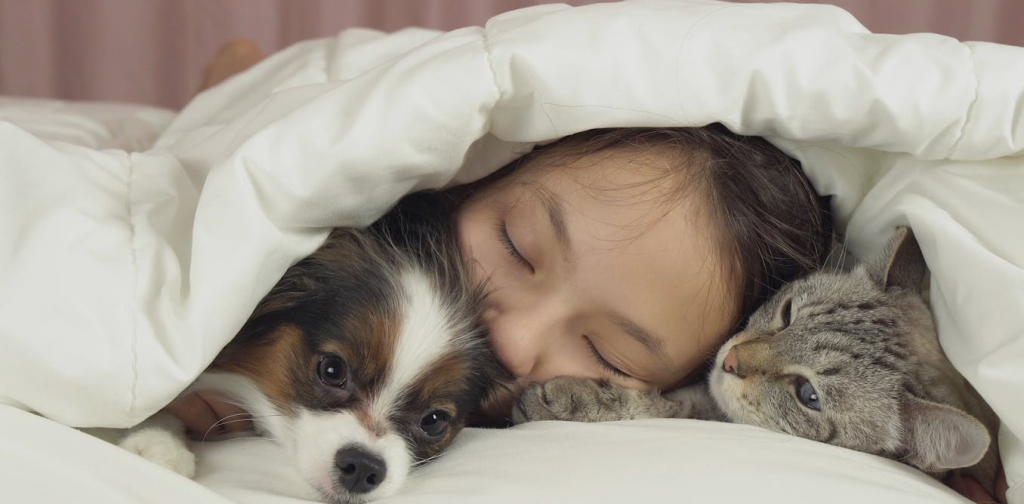 the-truth-about-cats-and-dogs-and-the-links-between-pet-attachment-and-mental-health