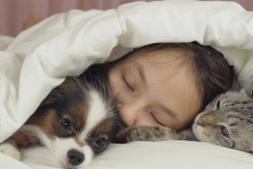 the-truth-about-cats-and-dogs-and-the-links-between-pet-attachment-and-mental-health