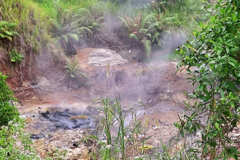 nestapa-warga-ntt-terdampak-pembangkit-panas-bumi