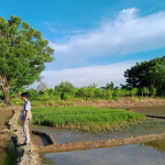 petani-kian-limbung-ketika-limbah-cemari-sungai-ciujung