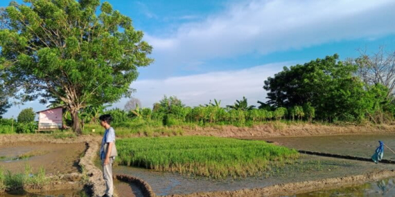 petani-kian-limbung-ketika-limbah-cemari-sungai-ciujung