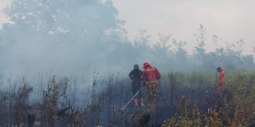 waspada-kebakaran-hutan-dan-lahan