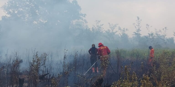 waspada-kebakaran-hutan-dan-lahan