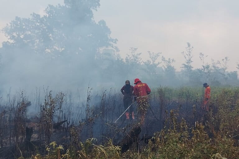 waspada-kebakaran-hutan-dan-lahan