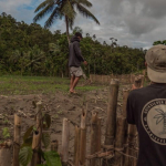 nasib-petani-ketika-program-tanam-jagung-masuk-mentawai