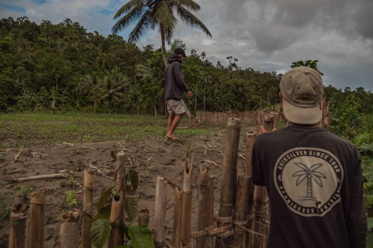 nasib-petani-ketika-program-tanam-jagung-masuk-mentawai