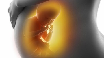 ciri-ciri-bayi-sehat-usia-8-bulan,-perhatikan-perubahan-yang-terjadi-di-trimester-3