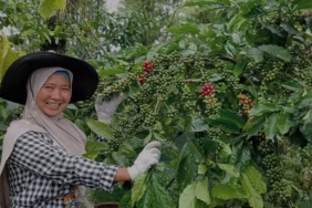 ikhtiar-perempuan-bengkulu-menyembuhkan-bumi