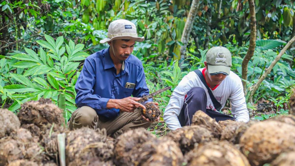 astra-dorong-komoditas-unggulan,-tingkatkan-pendapatan-masyarakat-lombok-dan-bandung