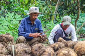 astra-dorong-komoditas-unggulan,-tingkatkan-pendapatan-masyarakat-lombok-dan-bandung