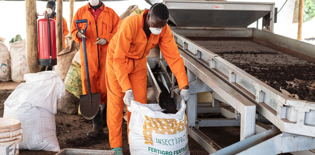 80%-of-africa’s-fertiliser-is-imported:-how-food-systems-can-adapt-to-the-iran-shock