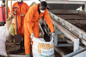 80%-of-africa’s-fertiliser-is-imported:-how-food-systems-can-adapt-to-the-iran-shock