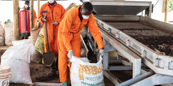 80%-of-africa’s-fertiliser-is-imported:-how-food-systems-can-adapt-to-the-iran-shock