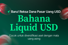 kini-tersedia-reksa-dana-bahana-liquid-usd-di-bibit