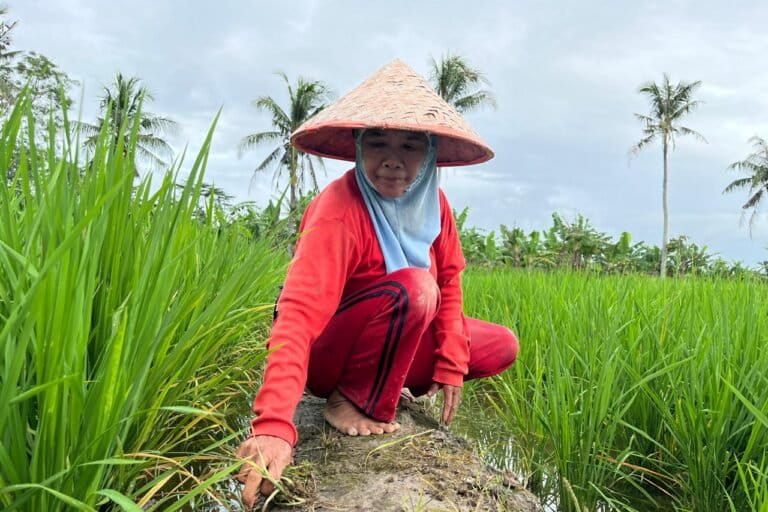 nasib-petani-way-pisang-di-tengah-rencana-pembangunan-rindam-xxi