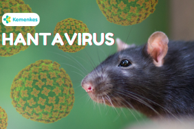 fakta-fakta-penting-hantavirus