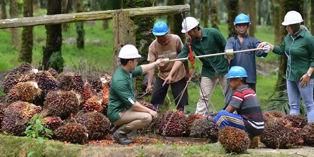 smar-jual-dua-pabrik-di-riau-rp39-miliar-ke-entitas-afiliasi