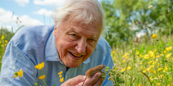 as-david-attenborough-turns-100,-four-experts-explore-his-legacy,-from-science-to-storytelling