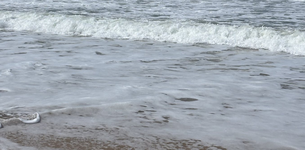 sea-foam-reveals-a-lot-about-the-health-of-a-beach’s-ecosystem.-here’s-how-to-spot-polluted-surf
