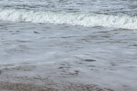 sea-foam-reveals-a-lot-about-the-health-of-a-beach’s-ecosystem.-here’s-how-to-spot-polluted-surf
