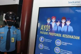 indonesiap-tanya-who-langkah-skrining-hantavirus-di-pintu-masuk-negara