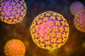pandemi-berikutnya-hantavirus?