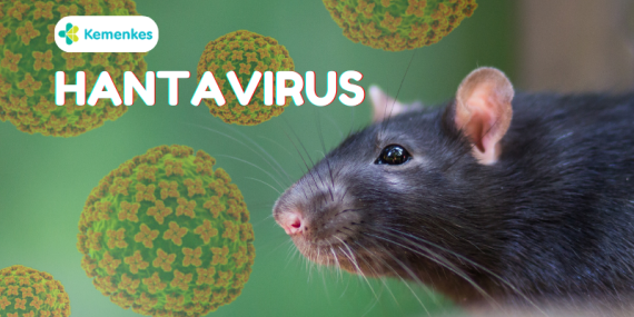 penjelasan-kementerian-kesehatan-ri-ihwal-hantavirus