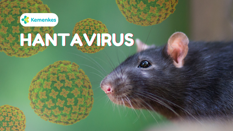 penjelasan-kementerian-kesehatan-ri-ihwal-hantavirus