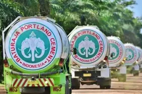 danantara-kantongi-rp96,9-miliar-dividen-smgr,-begini-kondisi-laba-sig