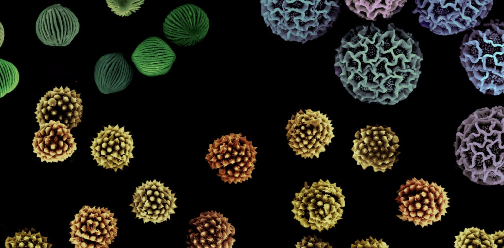 how-a-repurposed-medical-device-is-helping-us-investigate-ancient-climate-tipping-points