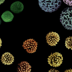 how-a-repurposed-medical-device-is-helping-us-investigate-ancient-climate-tipping-points