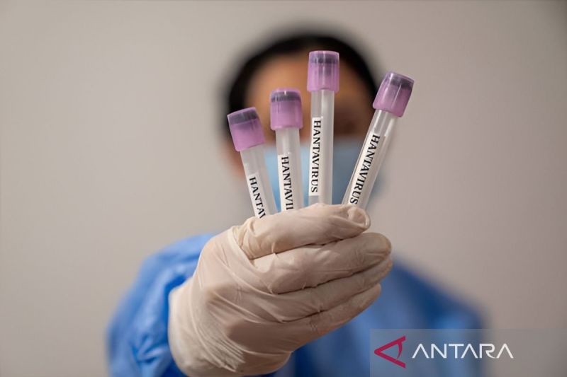 taipei-laporkan-satu-kasus-kematian-akibat-hantavirus