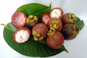 manggis-“the-queen-of-fruits”,-buah-tropis-asli-indonesia-yang-diburu-dunia