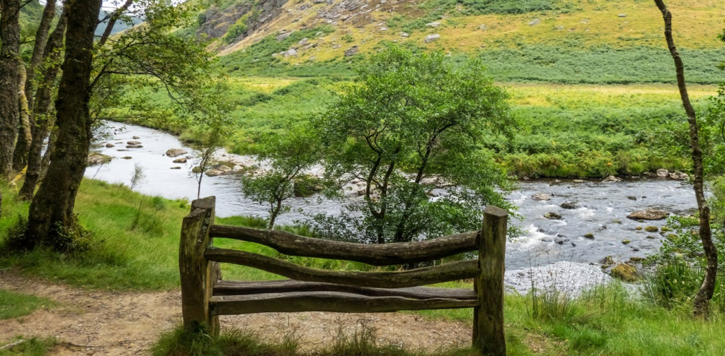 nature-restoration-isn’t-often-top-of-the-political-agenda-–-here’s-how-wales-does-it