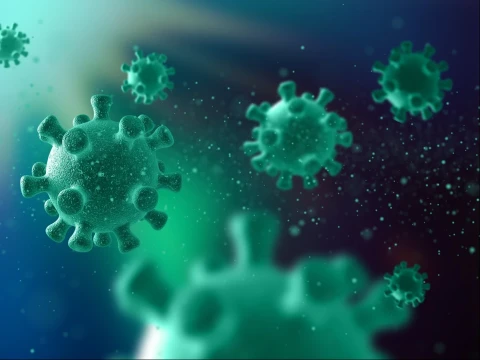 ketua-dpr-ri-minta-pemerintah-tak-anggap-remeh-ancaman-hantavirus