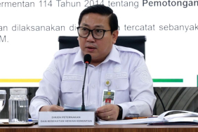 pemerintah-tegaskan-ketersediaan-stok-pangan-aman-jelang-idul-adha