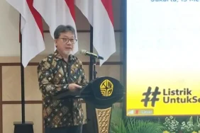 sekretaris-direktorat-jenderal-ketenagalistrikan,-wanhar