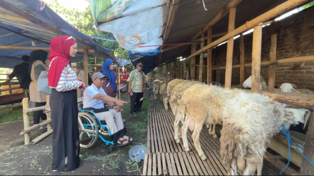 difabel-jadi-marketing-kambing-kurban,-kandang-di-bantul-ini-malah-laris-diserbu-pembeli