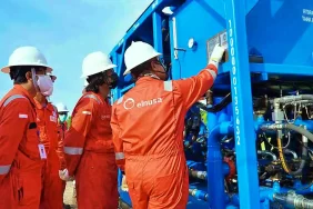 asing-perbesar-posisi-di-elsa-usai-laba-bersih-tumbuh-di-kuartal-i-2026