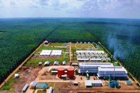 tapg-uji-area-kritis:-pekan-depan-rebound-atau-lanjut-tertahan?