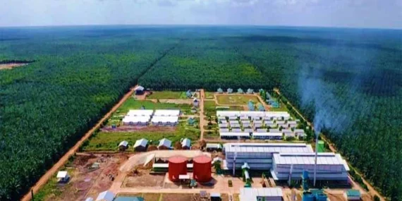 tapg-uji-area-kritis:-pekan-depan-rebound-atau-lanjut-tertahan?