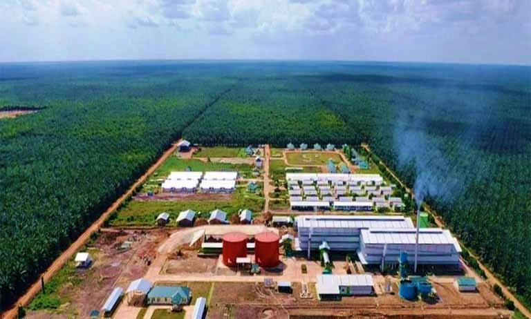 tapg-uji-area-kritis:-pekan-depan-rebound-atau-lanjut-tertahan?