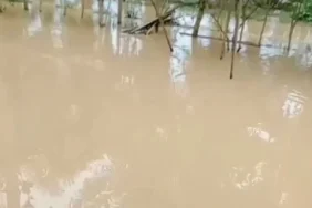 banjir-kembali-rendam-aceh-utara,-ansor-minta-penanganan-serius