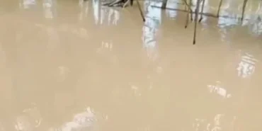 banjir-kembali-rendam-aceh-utara,-ansor-minta-penanganan-serius