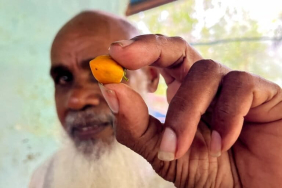 john-wompere,-penjaga-pohon-gaharu-dari-kampung-imbari