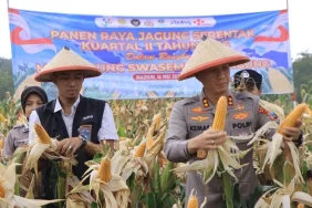 polres-madiun-gelar-panen-raya-jagung-serentak,-dukung-swasembada-pangan-nasional