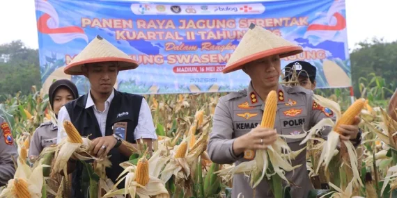 Polres Madiun Gelar Panen Raya Jagung Serentak, Dukung Swasembada Pangan Nasional