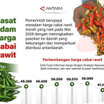 siasat-meredam-harga-cabai-rawit